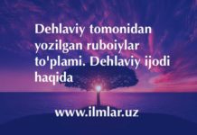 Dehlaviy tomonidan yozilgan ruboiylar to’plami. Dehlaviy ijodi haqida Dehlaviy tomonidan yozilgan ruboiylar to'plami. Dehlaviy ijodi haqida