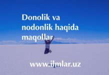 Donolik va nodonlik haqida maqollar to’plami. Donolik-va-nodonlik-haqida-maqollar
