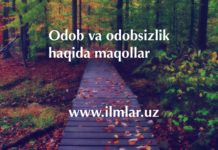 Odob va odobsizlik haqida maqollar to’plami. Xalq maqollari Odob-va-odobsizlik-haqida-maqollar.