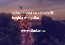 Sabr-qanoat va sabrsizlik haqida maqollar