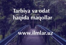 Tarbiya va odat haqida maqollar to’plami. Sara maqollar Tarbiya-va-odat-haqida-maqollar