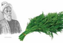 Аsabiy tinchlantirish uchun tabiiy vosita